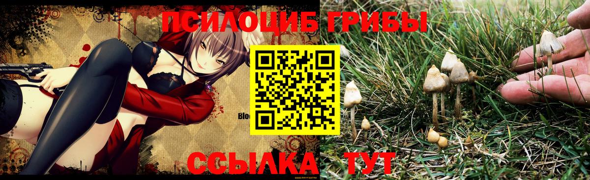 Губкин  Псилоцибиновые грибы ЛСД  Вход с VPN  Псилоцибиновые грибы Magic Shrooms 