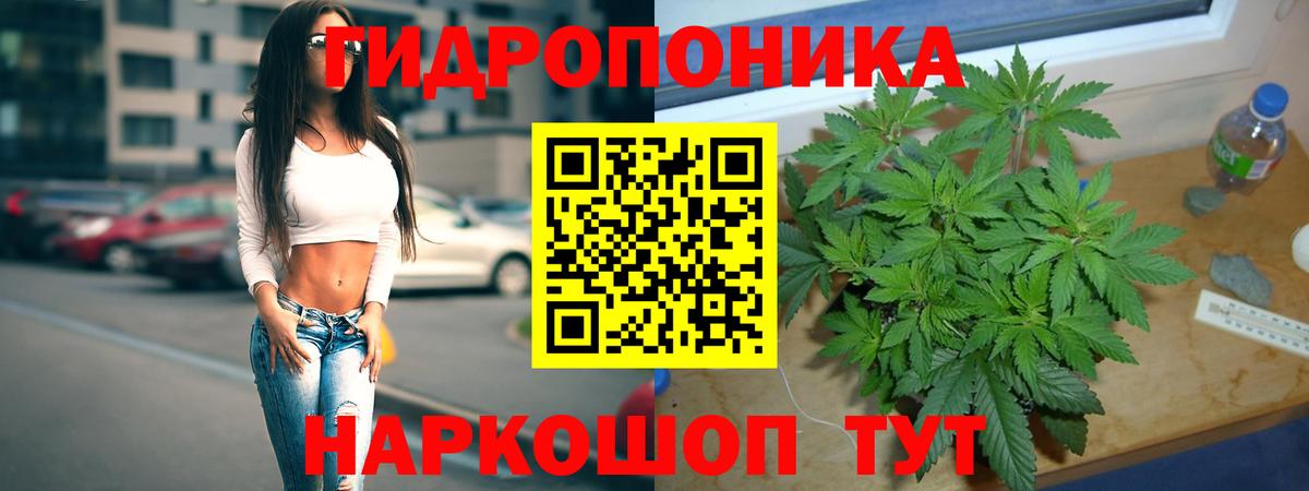 Губкин  Бошки марихуана семена  Вход с VPN  Канабис марихуана  Каннабис Bruce Banner 